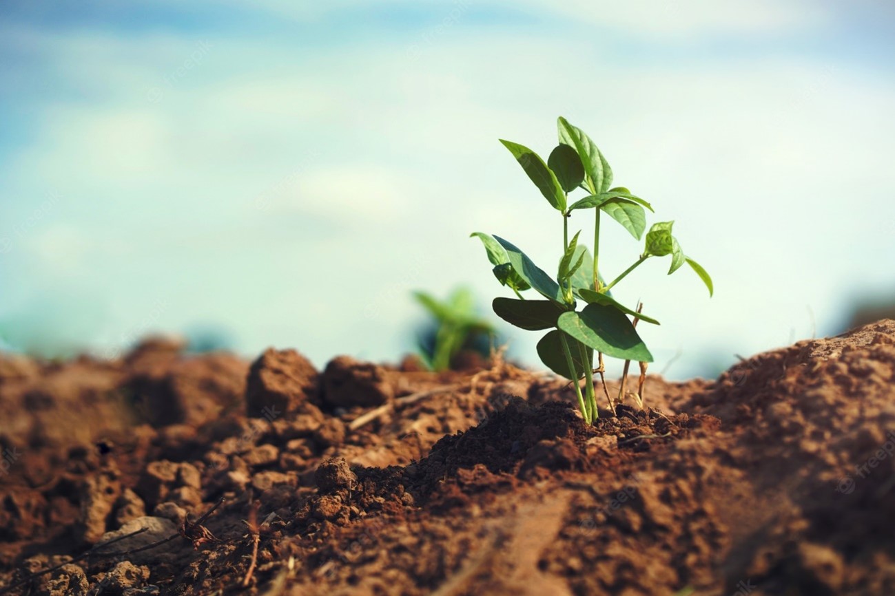 idr parana capacita 45 extensionistas para atuacao em manejo de solos 1