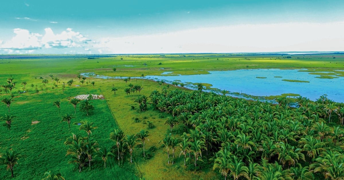 lei que aumenta prazo para regularizacao ambiental e sancionada portal dbo