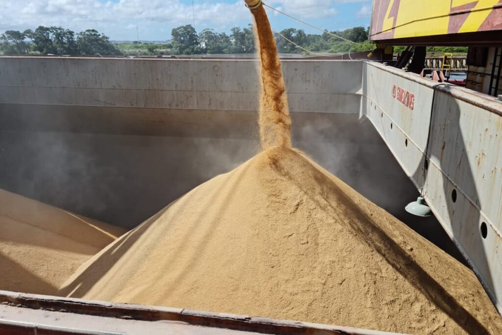 Mercado do arroz 21 de junho – Agronews 2 mercado do arroz 21 de junho agronews