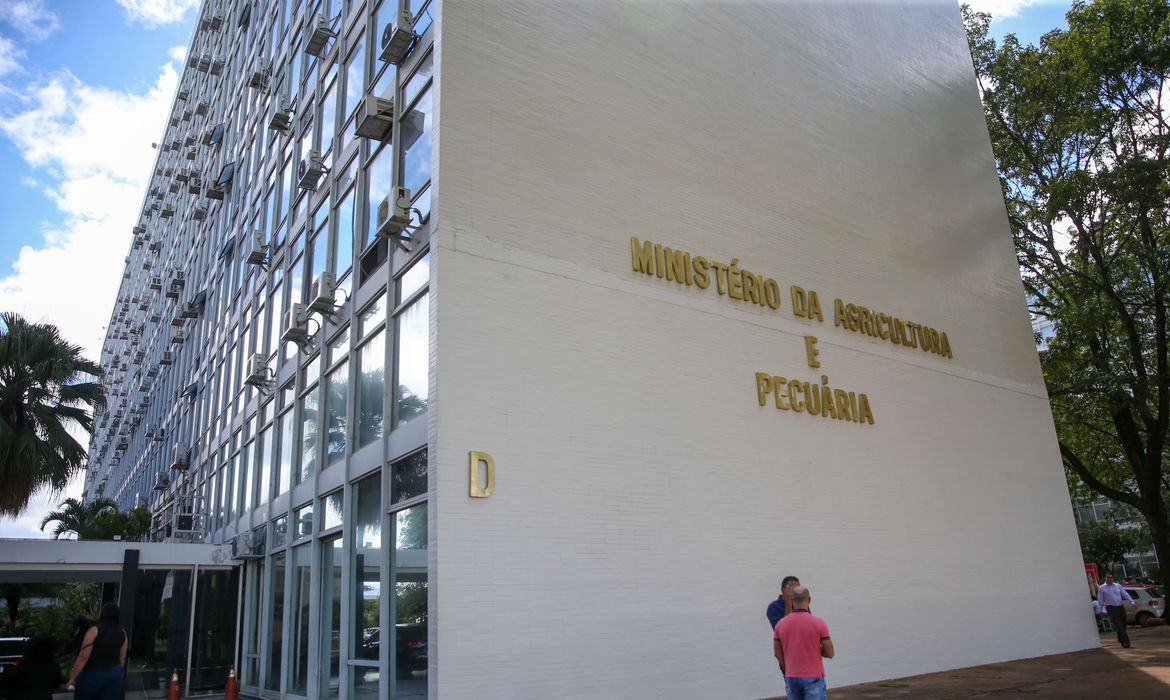 minas gerais registra primeiro caso de gripe aviaria em pato 1