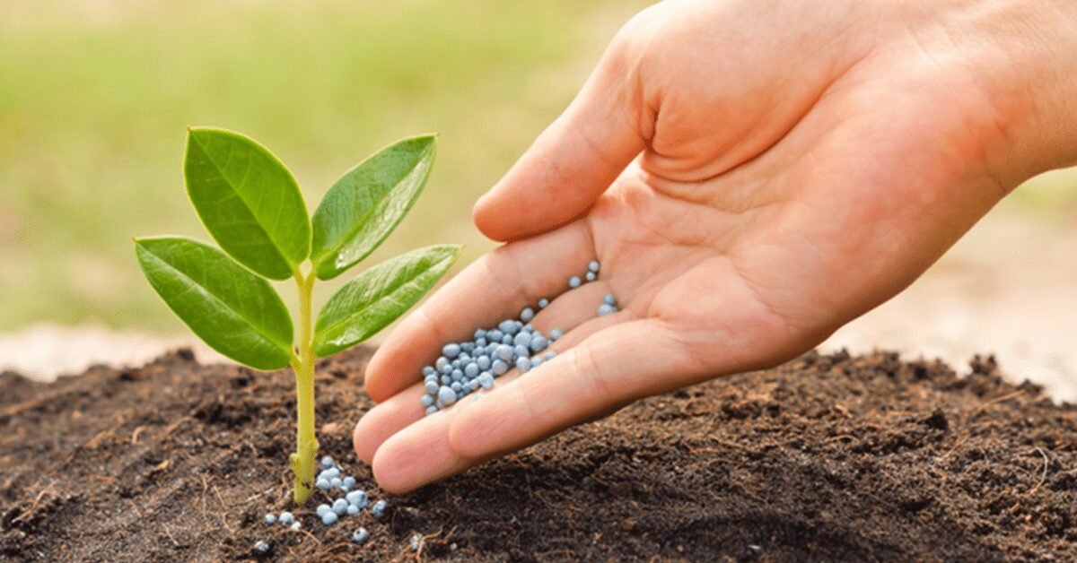 ministro favaro diz que e ousada meta de reduzir dependencia portal dbo