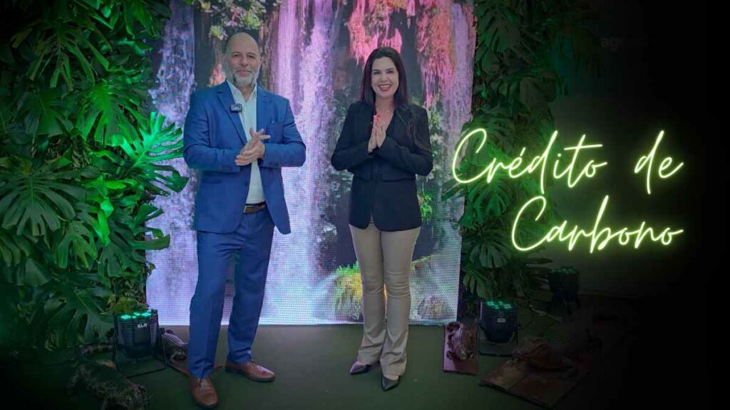 o potencial do credito de carbono para areas de reserva legal