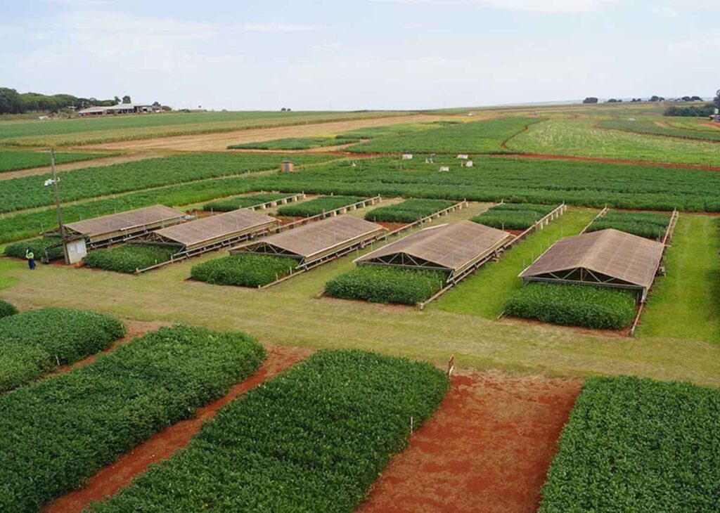 pesquisadores combinam tecnologias para enfrentar a seca na soja agronews