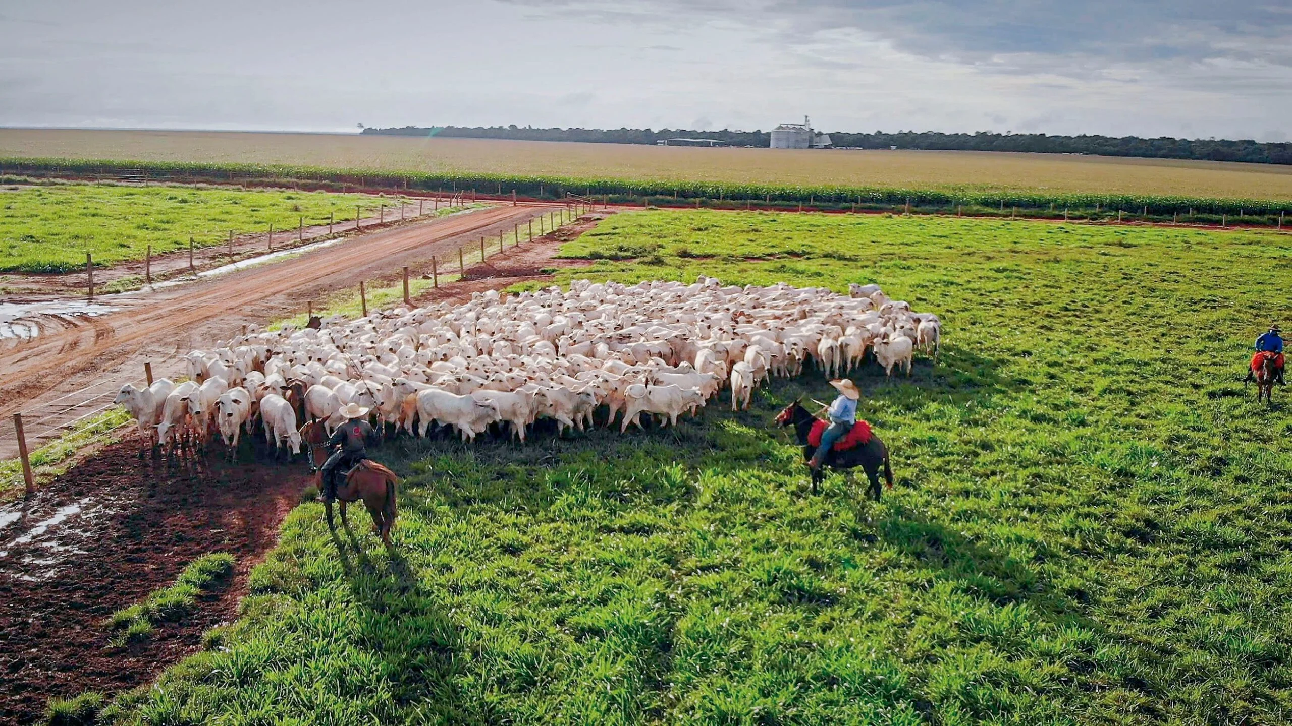 pib da agropecuaria sobe 2160 no 1o trimestre de 2023 ante o 4o tri de 2022 portal dbo
