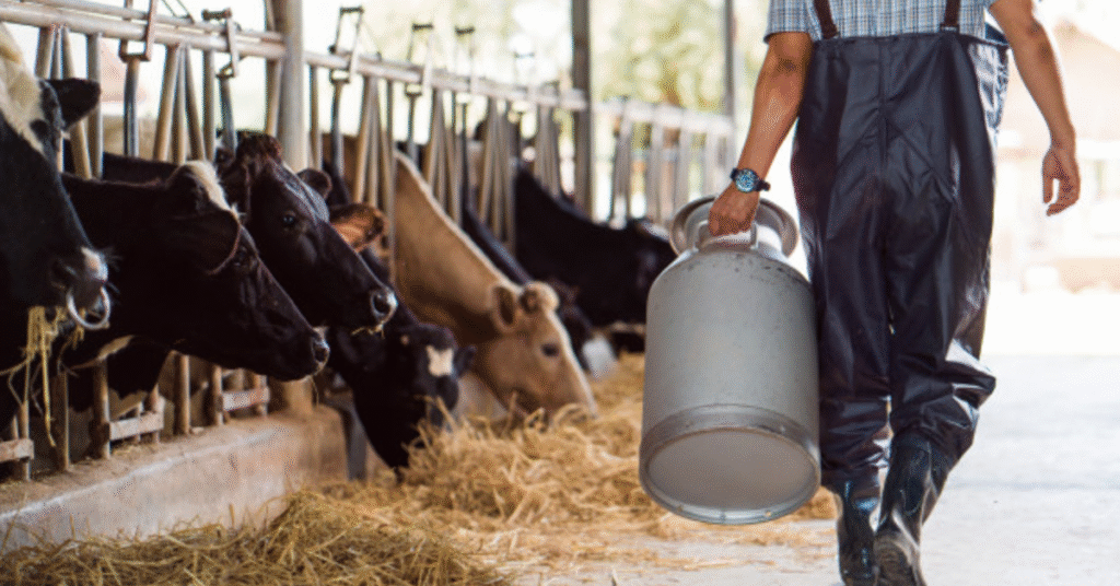 preco ao produtor sobe 24 em abril aponta o cepea portal dbo