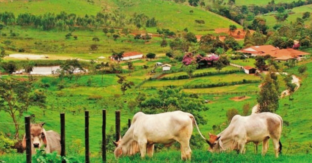 produtores rurais ja podem emitir o certificado de cadastro de imoveis rurais 2023 portal dbo