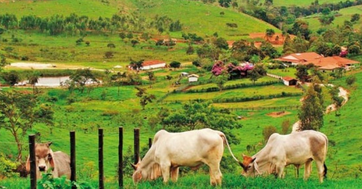 Produtores rurais já podem emitir o Certificado de Cadastro de Imóveis Rurais 2023 • Portal DBO