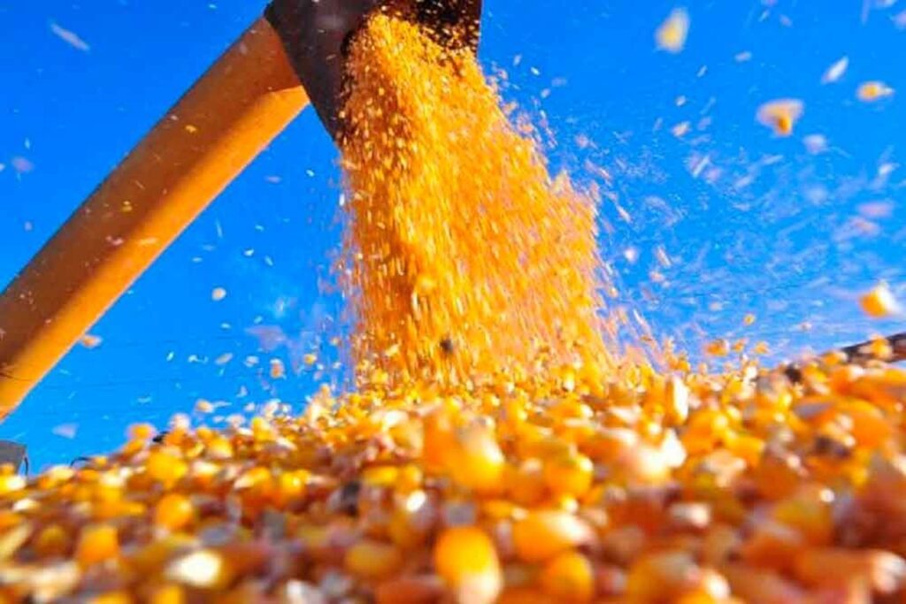 projecao aponta que pib do agro deve passar de 13 em 2023