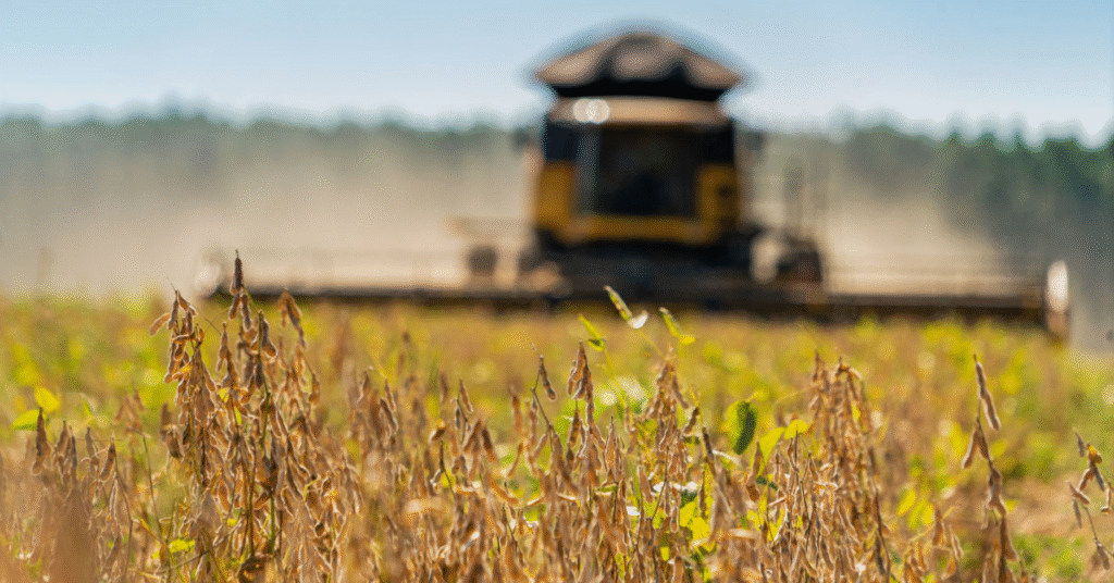 proximo a atingir um novo recorde conab estima producao de graos em 3158 milhoes de toneladas portal dbo