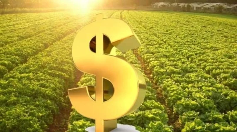 quanto o bb desembolsou em credito rural em 2023 e na safra 2023 24 2