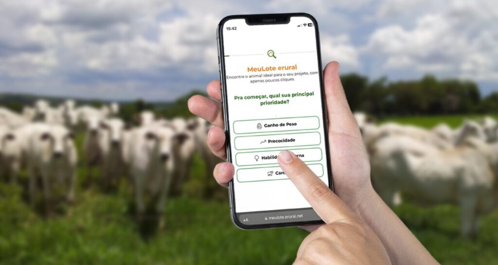 Startup prevê até R$ 700 milhões com venda de boi em app à la ‘Tinder’ com uso de IA – Money Times 2 Erural agro boi tinder IA