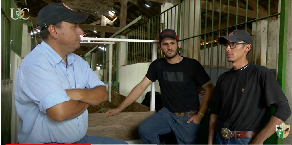 Em dias chuvosos, é possível, sim, utilizar o tempo para organizar o CT; a TV UC dá dicas para aproveitar o tempo