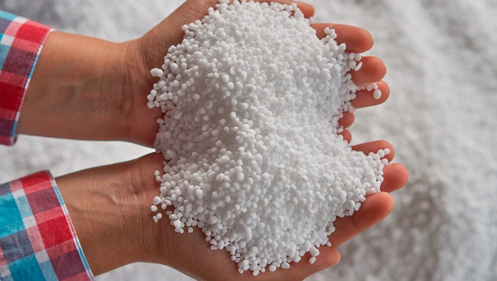 ureia para gado saiba como suplementar 2