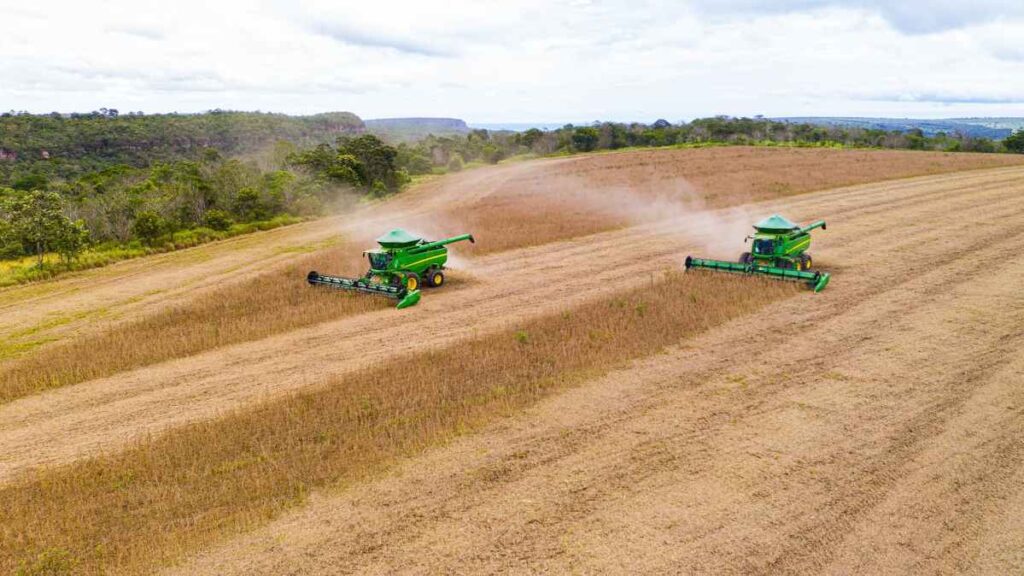 vbp agropecuaria em 2023 esta estimado em r 1179 trilhao 1