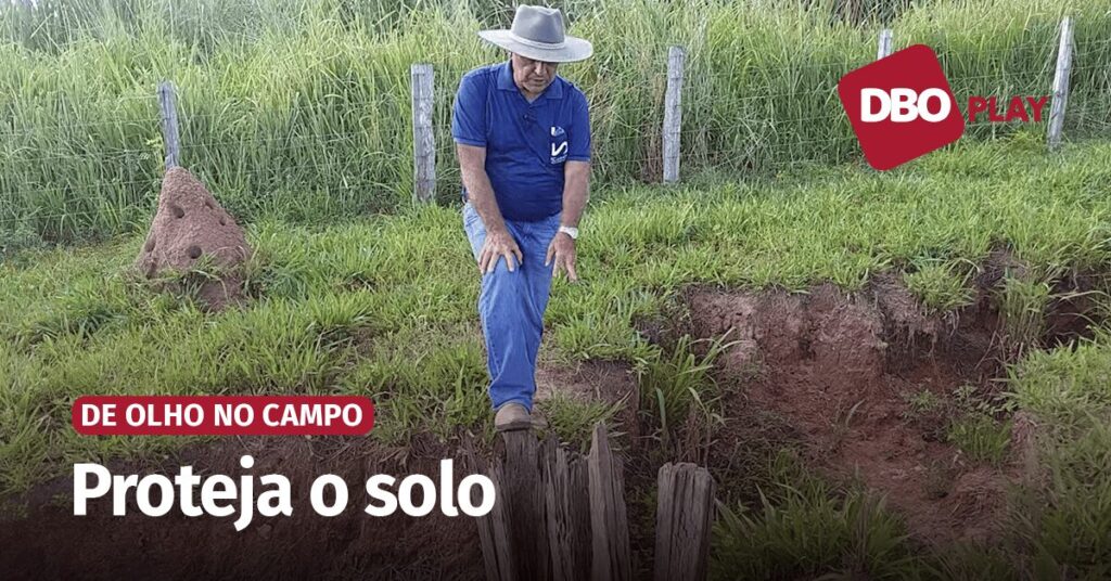 veja como combater o processo de erosao provocado pela agua da chuva video portal dbo