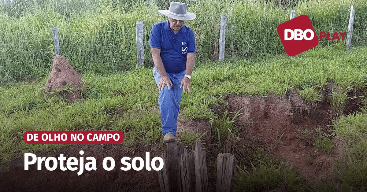 veja como combater o processo de erosao provocado pela agua da chuva video portal dbo