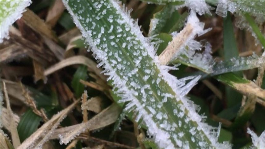 vespera de inverno tera temperaturas negativas e geada 1