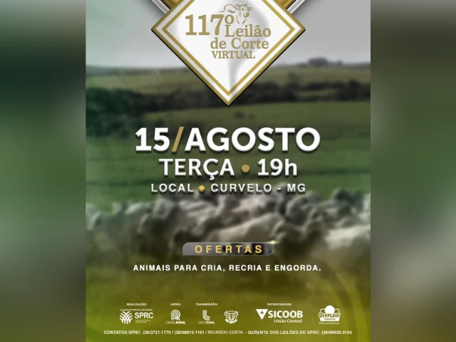 117º Leilão de Corte Virtual: Uma Oportunidade Imperdível 1 5518996372999 (1)