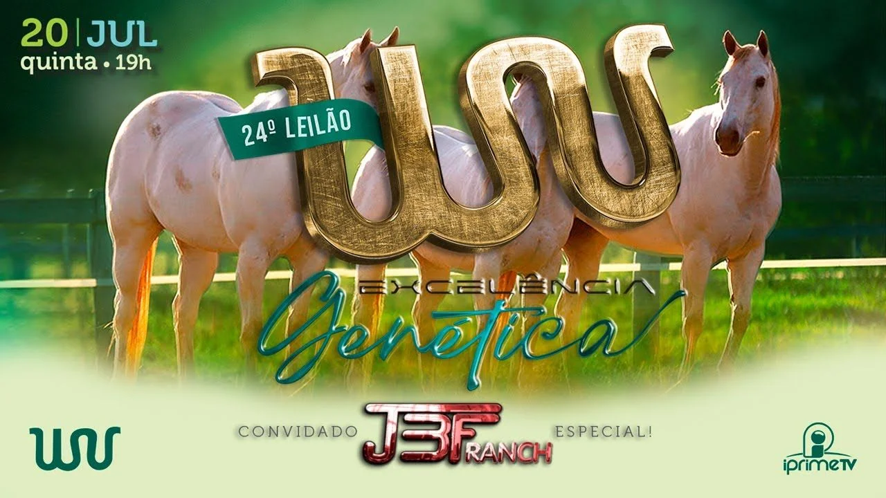 24o leilao haras wv e convidado especial jbf ranch 1