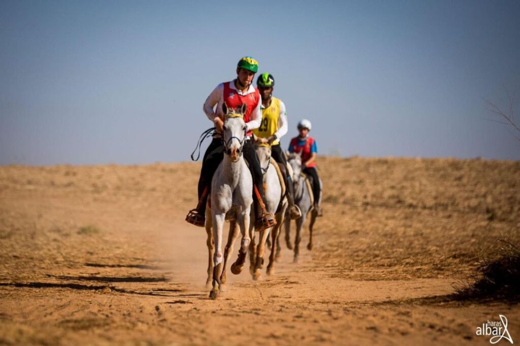 32º Campeonato Brasileiro de Enduro Equestre começa amanhã (21/07) em Campinas (SP)