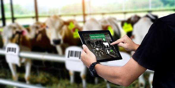 AgTechs descubra as empresas que estao transformando a agricultura