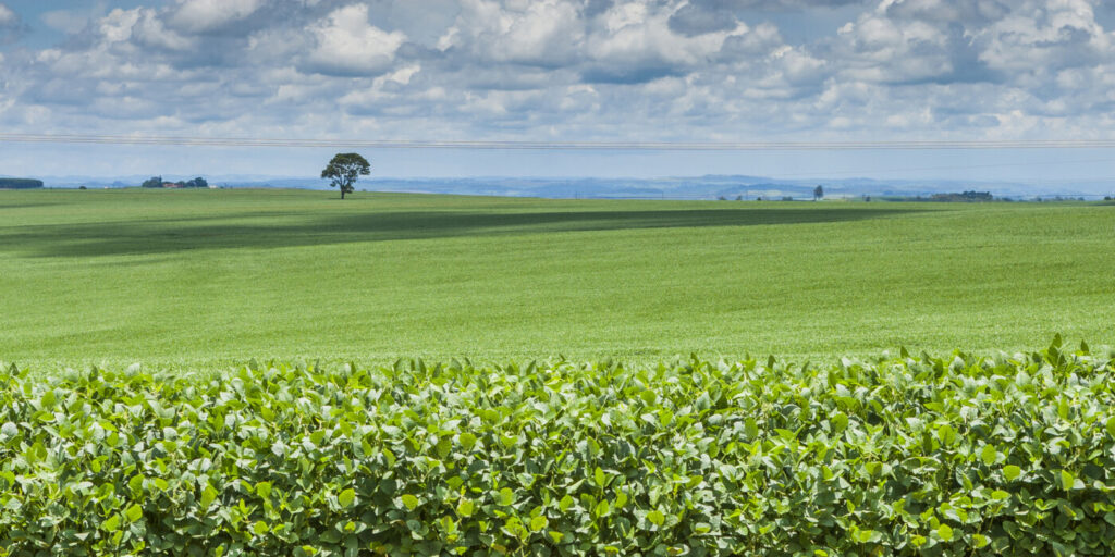 Agricultura em busca de solucoes para enfrentar os desafios climaticos