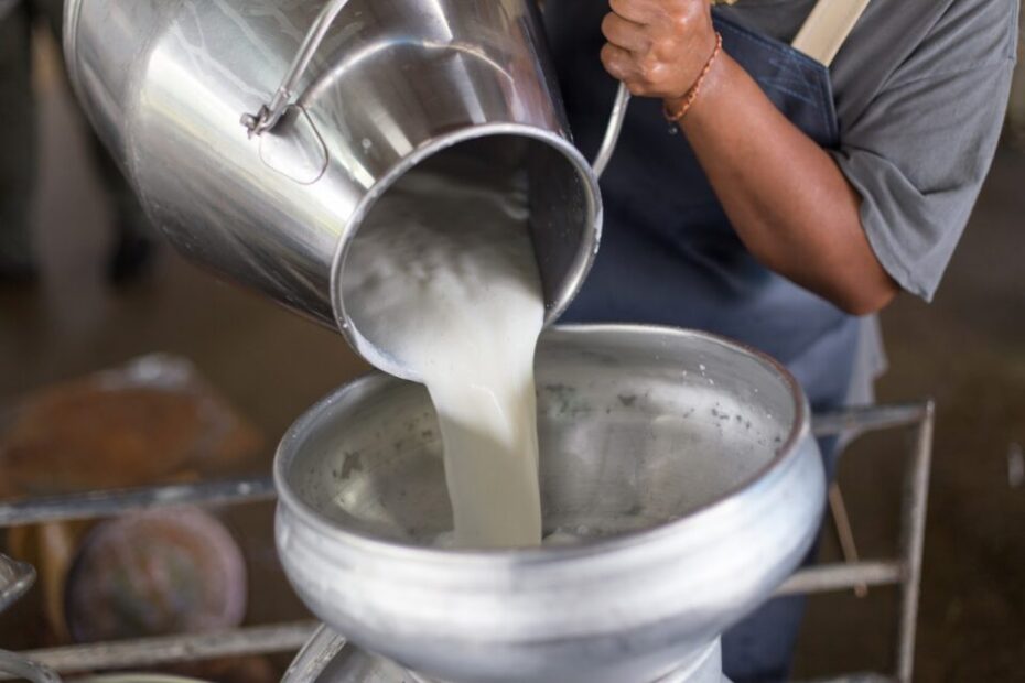 Desvalorizacao dos precos do leite continua em junho apos queda
