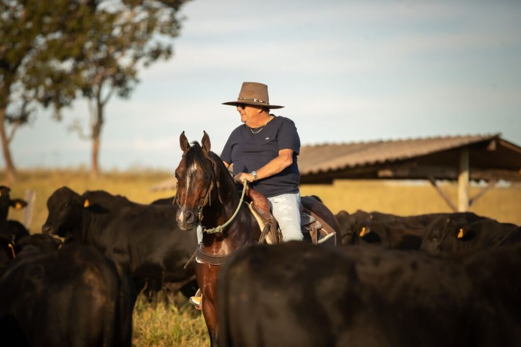 Dia do Pecuarista: cavalos são destaque no setor agropecuário