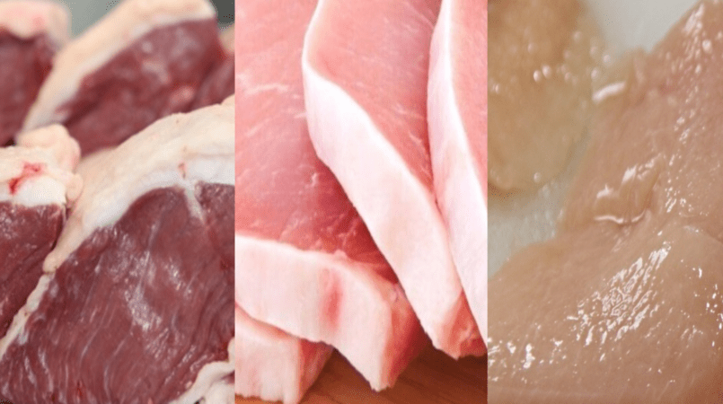 Estimativa de producao de carnes no Brasil em 2023 atinge
