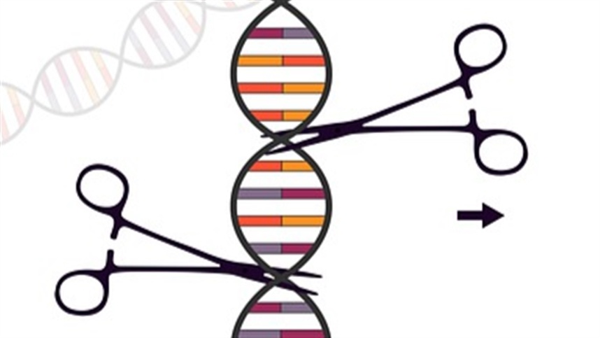O que e a nova edicao de genes