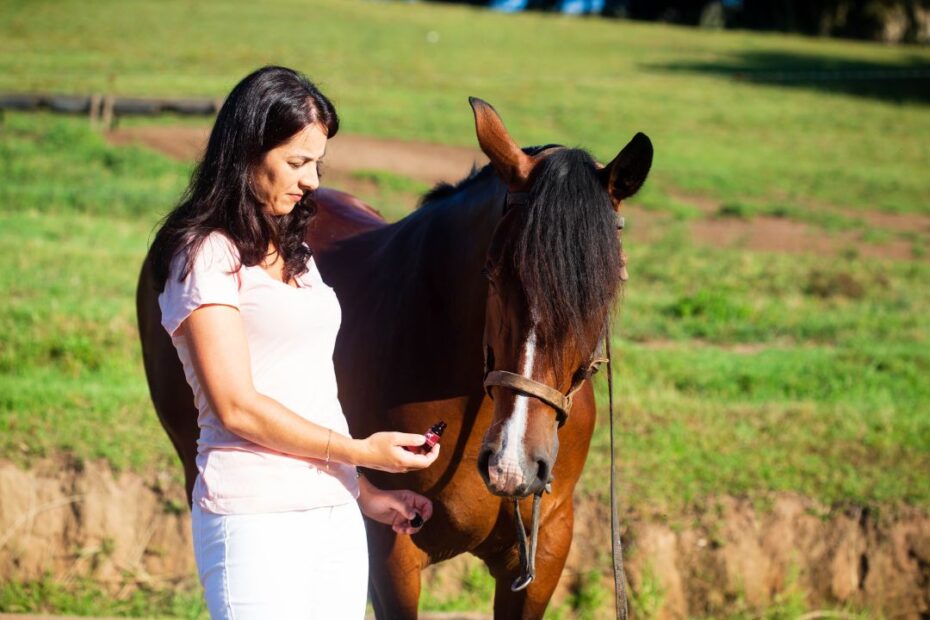 Óleos essenciais podem ser aliados no tratamento de cavalos ração