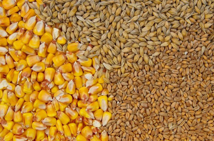 Precos do milho trigo e soja categorizados como baixos pelo