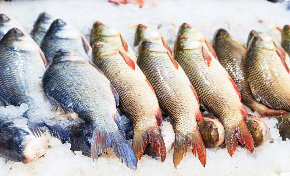 Projeto do Instituto de Pesca busca aumentar consumo de pescado