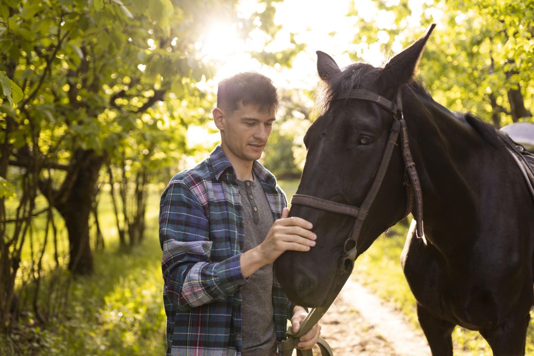 A conexão que o cavalo cria através da sua presença