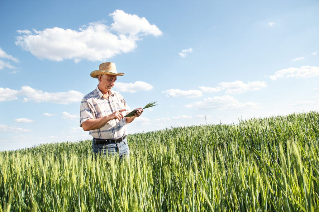a importancia da rastreabilidade na seguranca alimentar e os beneficios associados