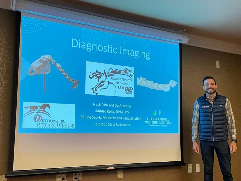 ABRAVEQ 2023 contará com palestra sobre reabilitação global em equinos 1 ABRAVEQ 2023 contará com palestra sobre reabilitação global em equinos