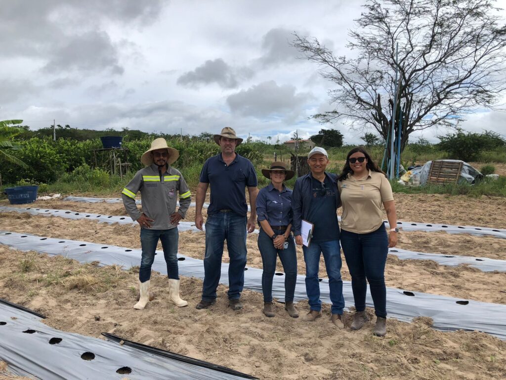 Agricultores familiares recebem capacitação para melhorar produção de hortaliças 2 agricultores familiares recebem capacitacao para melhorar producao de hortalicas 1