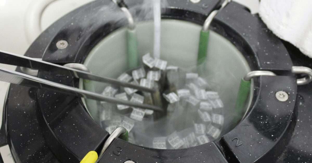 agricultura abre consulta publica sobre importacao de semen de bovinos e bufalos portal dbo