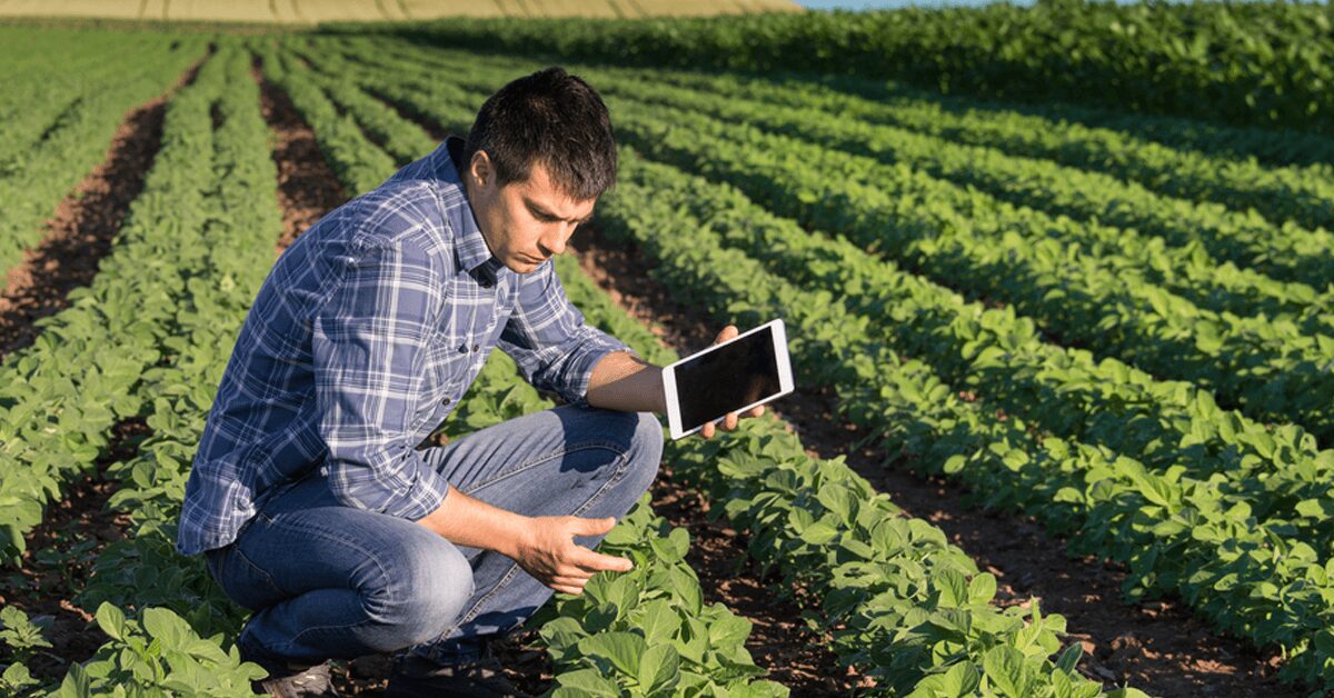 agronegocio investe em videomonitoramento para melhor desempenho e seguranca 1