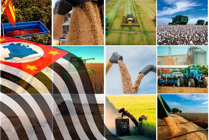Agronegócio paulista registra superávit de US$ 10 bilhões no primeiro semestre de 2023 6 agronegocio paulista registra superavit de us 10 bilhoes no primeiro semestre de 2023