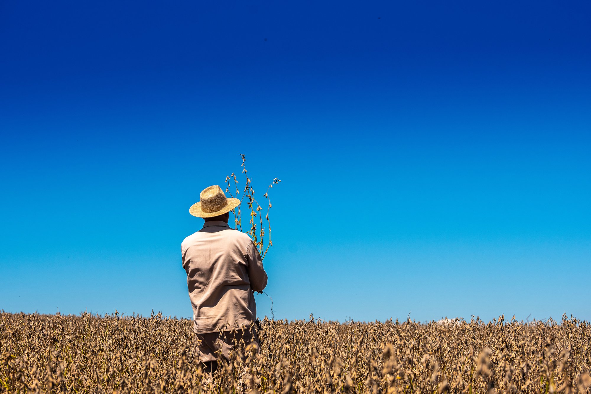 Alimentação, camponês e comunidades rurais: as expressões queridas pelo povo