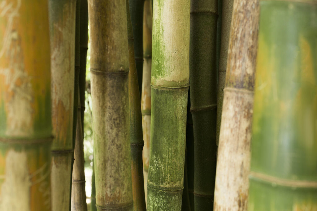 Análise Mensal da Safra de Cana-de-Açúcar em Maio de 2023 2 analise mensal da safra de cana de acucar em maio de 2023 1