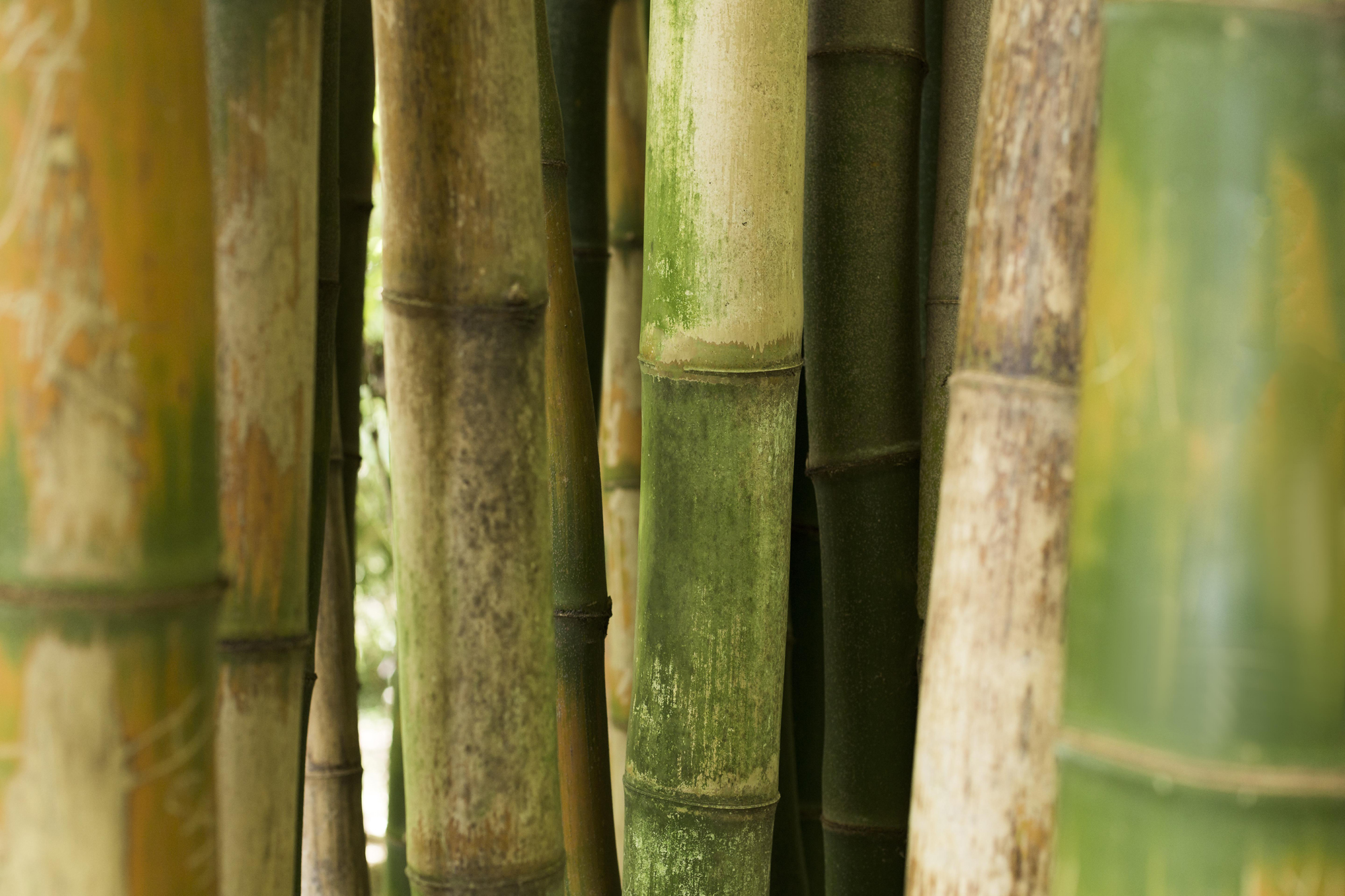 Análise Mensal da Safra de Cana-de-Açúcar em Maio de 2023 1 Análise Mensal da Safra de Cana-de-Açúcar em Maio de 2023