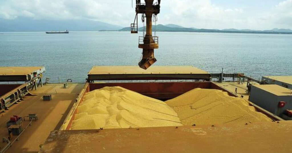 anec revisa para baixo previsao de exportacao de soja e milho em julho portal dbo