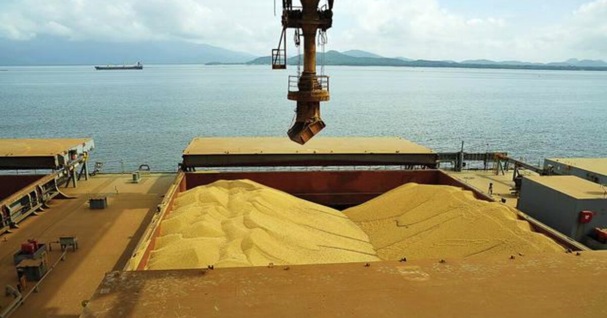 anec revisa para baixo previsao de exportacao de soja e milho em julho portal dbo