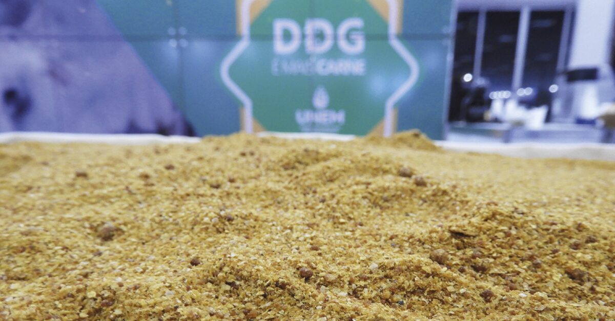 ApexBrasil lança projeto para promover exportações de farelo de milho • Portal DBO