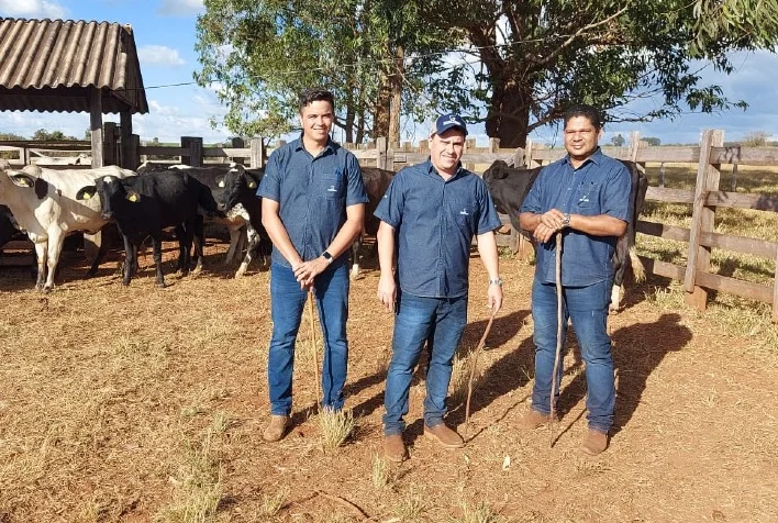 Associação Girolando intensifica assistência técnica no Brasil