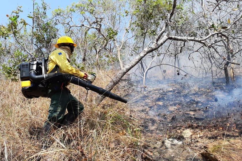 Aumento do risco de incêndios em pastagens devido ao período de seca