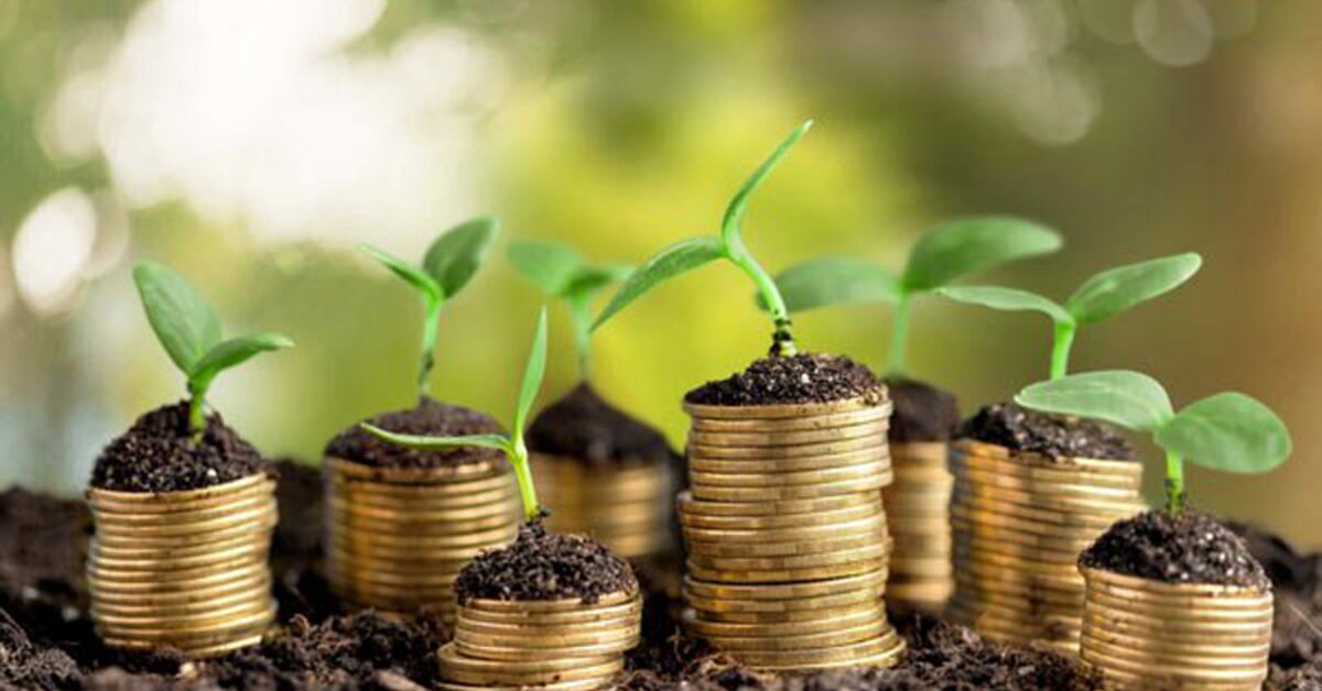 banrisul anuncia recorde de r 11 bilhoes em credito rural portal dbo 1