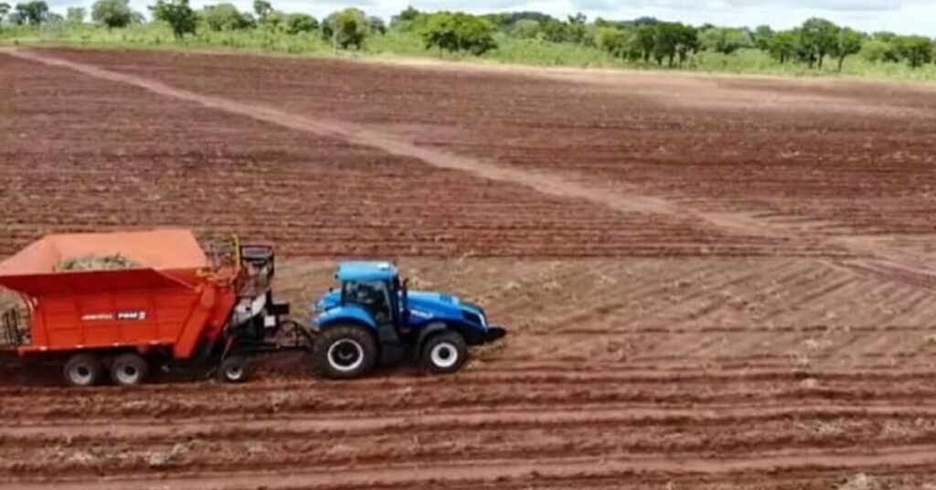brasilagro anuncia venda de 44 mil hectares da fazenda jatoba na bahia portal dbo